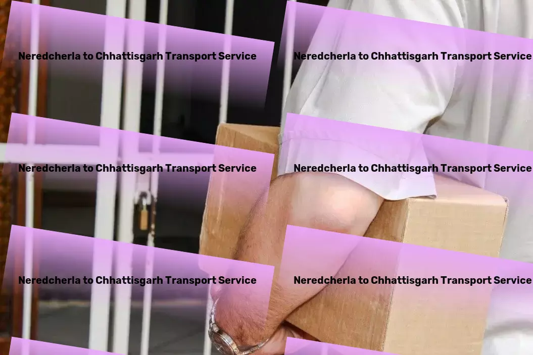 Neredcherla to Chhattisgarh Transport Transport service provider