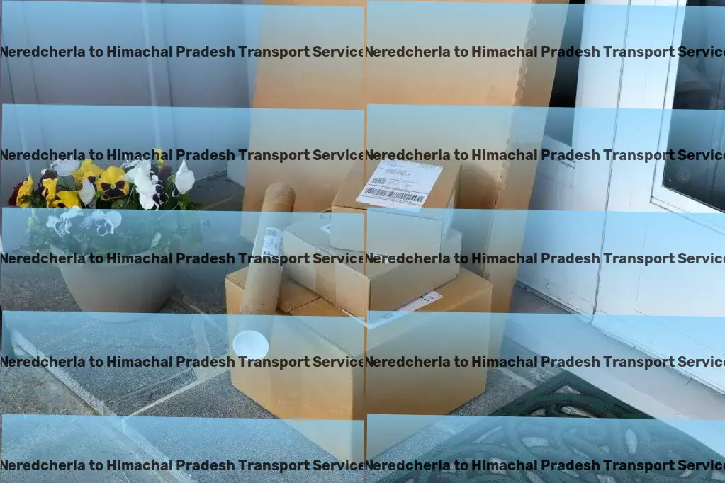 Neredcherla to Himachal Pradesh Transport Simplify life with practical everyday hacks and tips! - Cross-regional freight transport