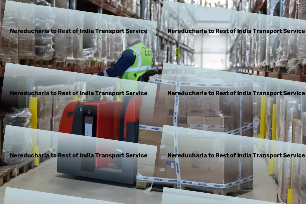 Nereducharla to Rest Of India Transport Efficient cargo services