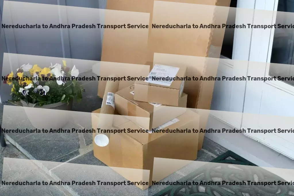 Nereducharla to Andhra Pradesh Transport Efficient package moving