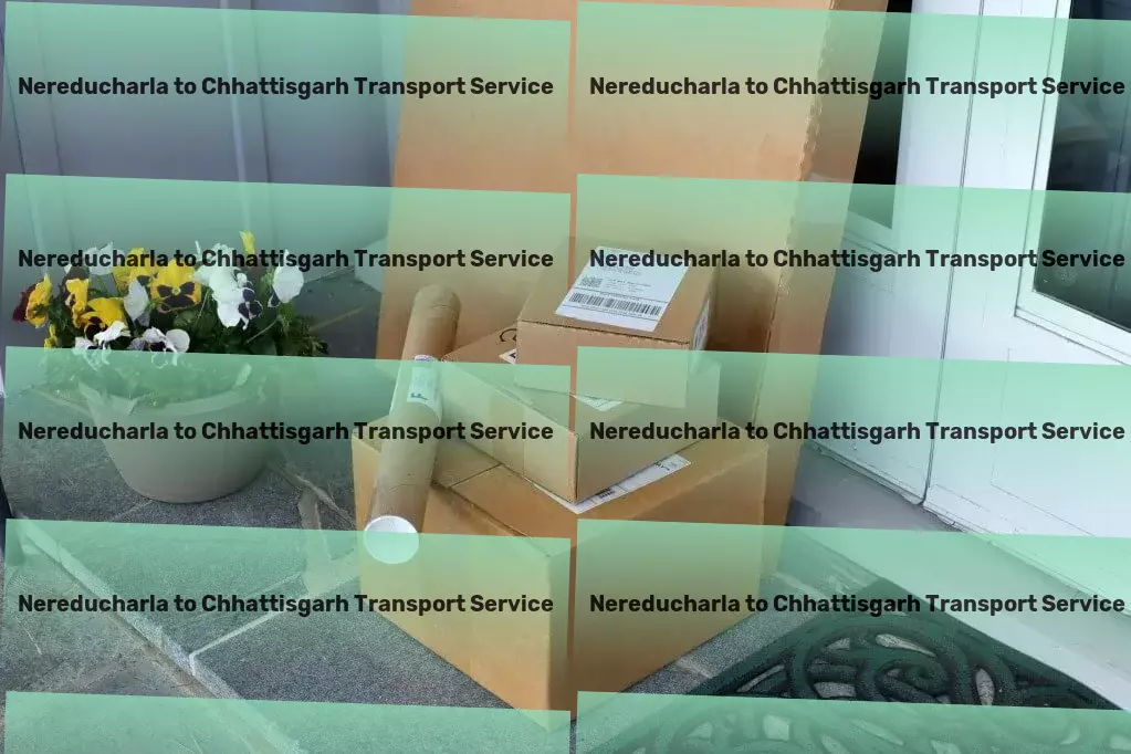 Nereducharla to Chhattisgarh Transport Unlock your potential with our coaching services! - High-speed freight services