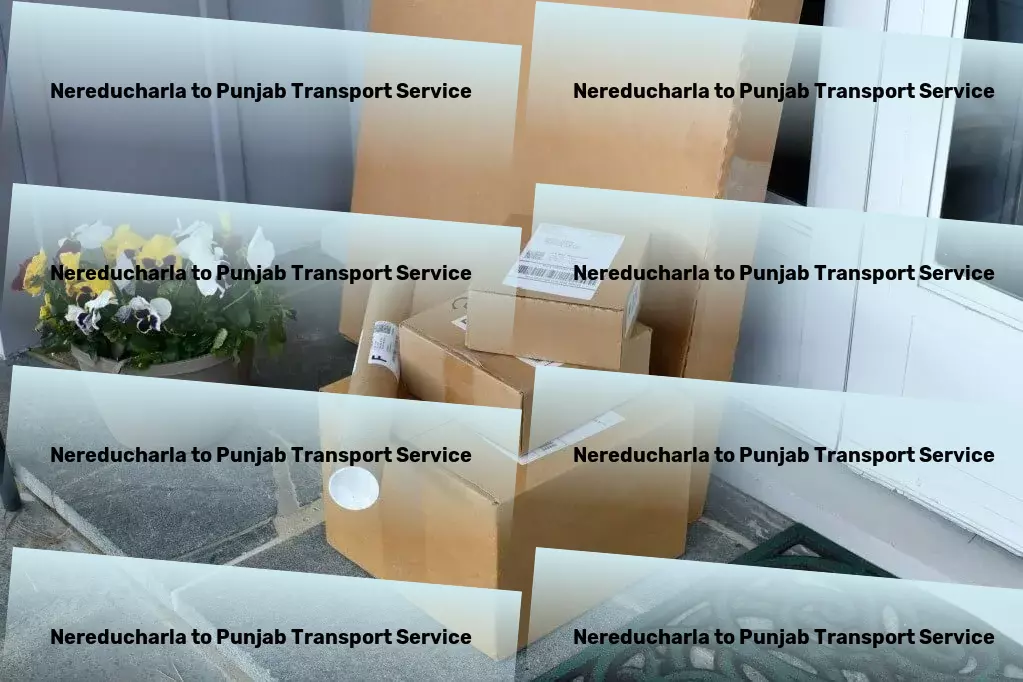 Nereducharla to Punjab Transport Full-scale logistics solutions