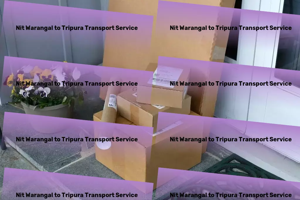 Nit Warangal to Tripura Transport Household item courier