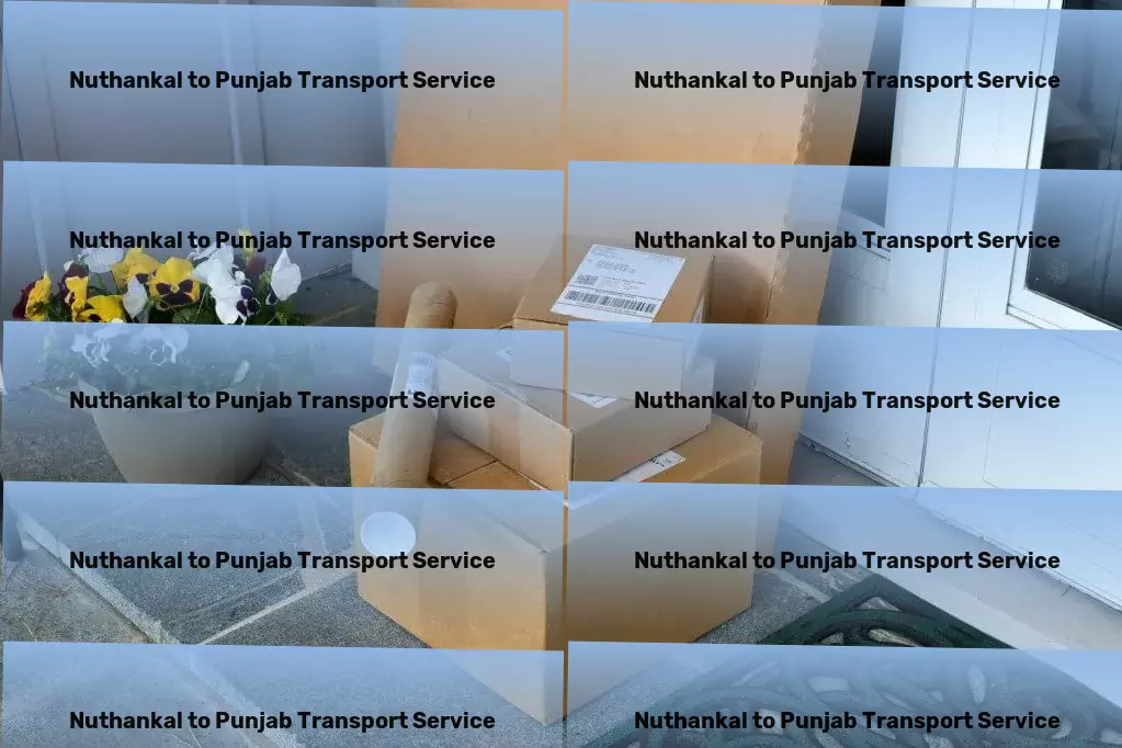 Nuthankal to Punjab Transport Specialized furniture logistics