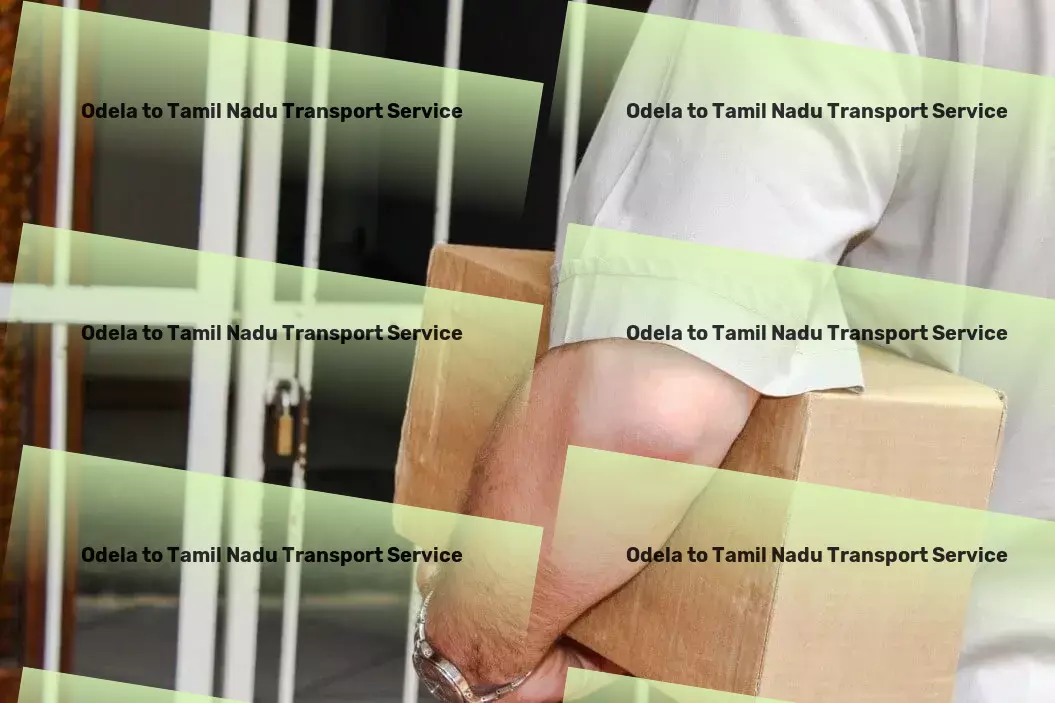 Odela to Tamil Nadu Transport Business freight services