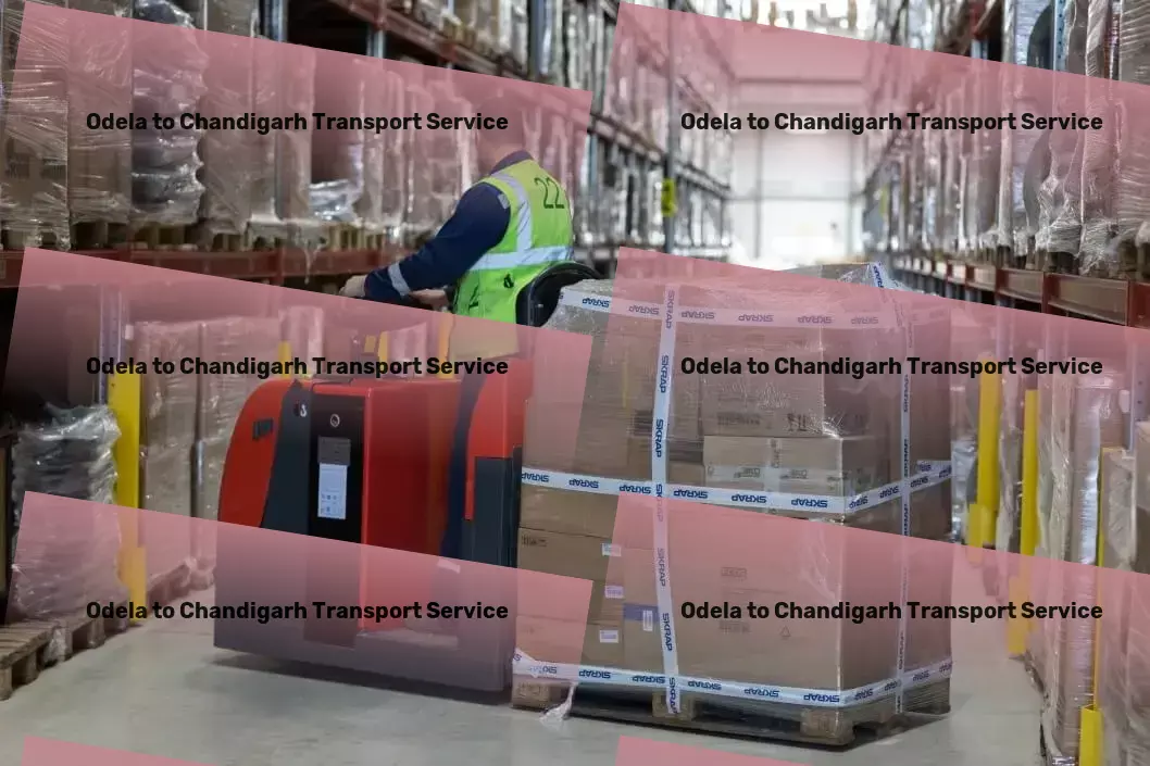 Odela to Chandigarh Transport Advanced movers and packers