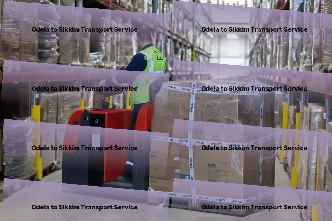 Odela to Sikkim Transport Efficient cargo moving solutions