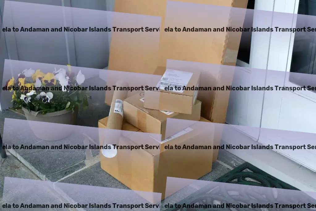 Odela to Andaman And Nicobar Islands Transport Relocation transport services