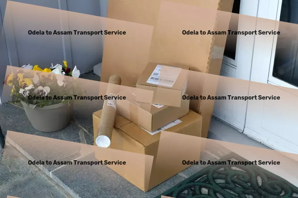 Odela to Assam Transport Leading innovations for a smoother transit journey within India. - Local heavy cargo delivery