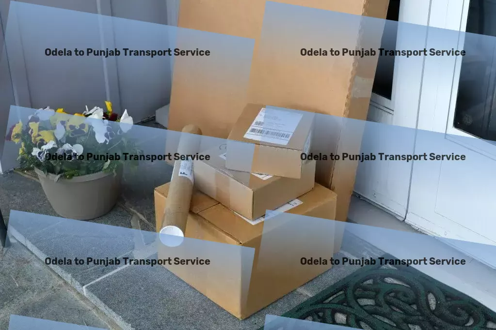 Odela to Punjab Transport Innovative logistics solutions