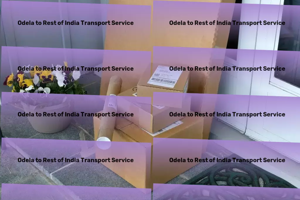 Odela to Rest Of India Transport Integrated freight services