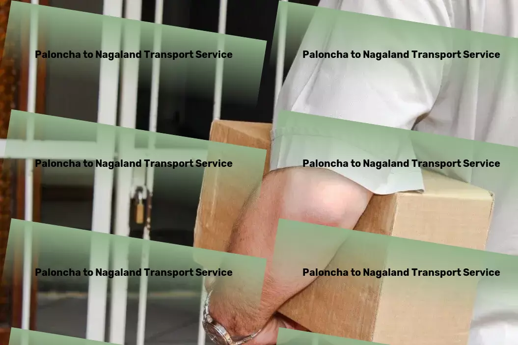 Paloncha to Nagaland Transport Specialized shipment solutions