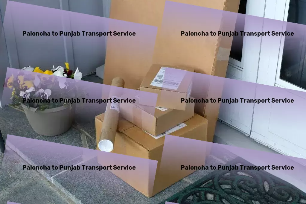 Paloncha to Punjab Transport Professional package delivery