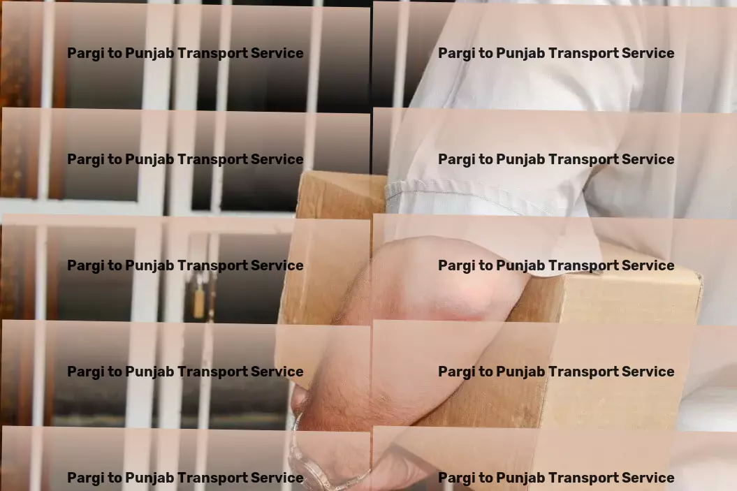 Pargi to Punjab Transport Specialized goods moving