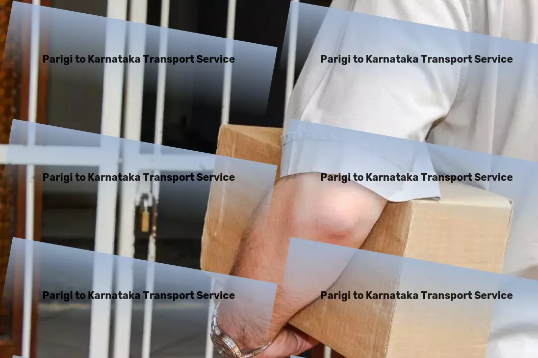 Parigi to Karnataka Transport Professional goods logistics