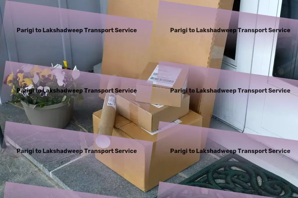 Parigi to Lakshadweep Transport Custom goods shipment services