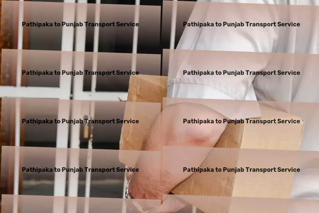 Pathipaka to Punjab Transport Your companion in personal development! - Fast parcel delivery