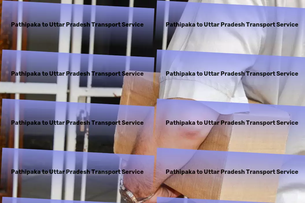 Pathipaka to Uttar Pradesh Transport Agricultural transport services