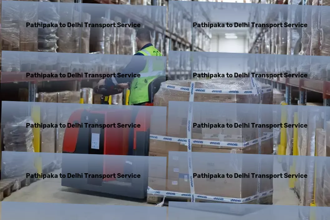 Pathipaka to Delhi Transport Regional parcel logistics