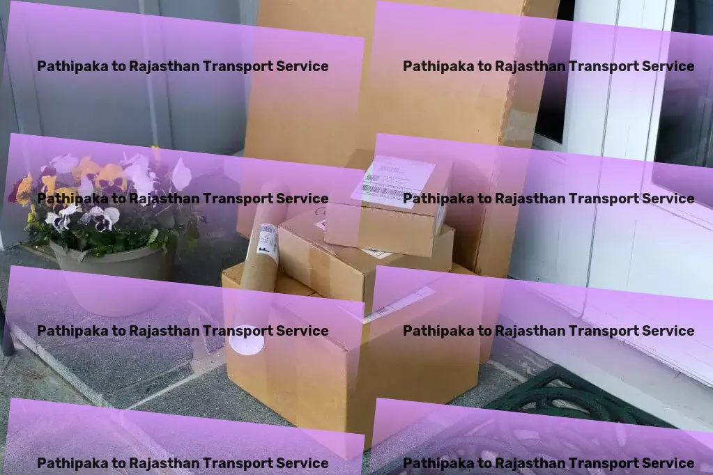 Pathipaka to Rajasthan Transport Efficient freight solutions